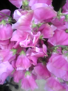 Image023 Image023.jpg
