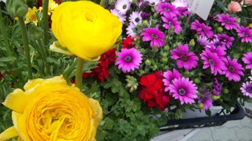 110407_093032 110407_093032.jpg