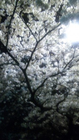 110410_201717 110410_201717.jpg