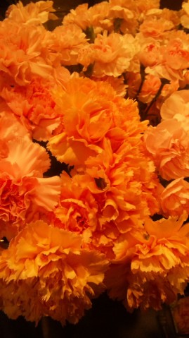 110412_174622 110412_174622.jpg