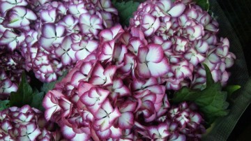 110413_145117 110413_145117.jpg