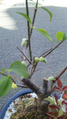 110426_100629 110426_100629.jpg