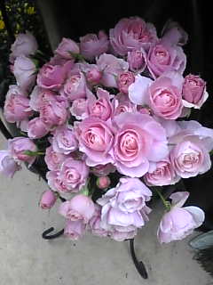 Image027 Image027.jpg