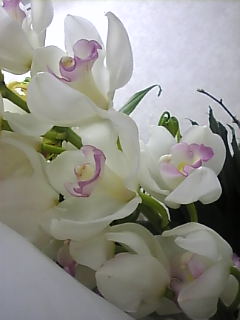 Image029 Image029.jpg