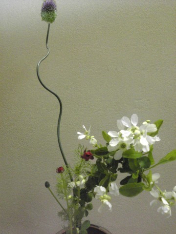 Image200_3
