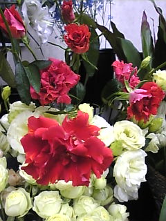 Image502 Image502.jpg