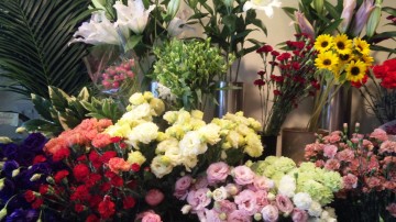 110510_113837 110510_113837.jpg