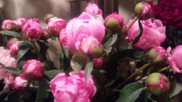 110521_212447_2 110521_212447_2.jpg