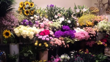 110524_021557_3 110524_021557_3.jpg