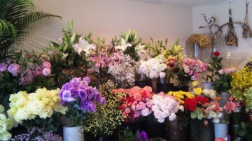 110530_132633_2 110530_132633_2.jpg