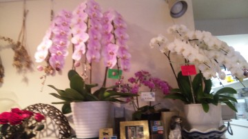 110611_111650 110611_111650.jpg