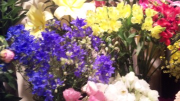 110614_014813_2 110614_014813_2.jpg