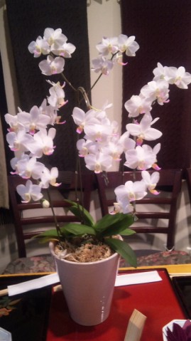 110617_085512 110617_085512.jpg