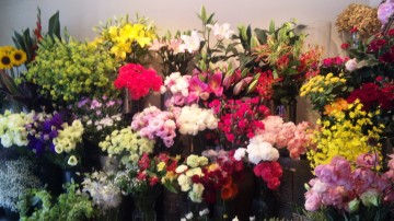 110621_114704_2 110621_114704_2.jpg