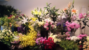 110801_131416_4 110801_131416_4.jpg