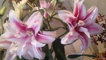 110808_095028 110808_095028.jpg