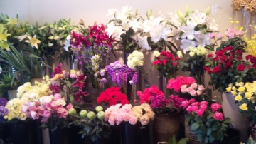 110826_112509 110826_112509.jpg