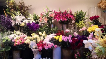 111027_193717 111027_193717.jpg