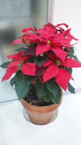 111107_095358 111107_095358.jpg