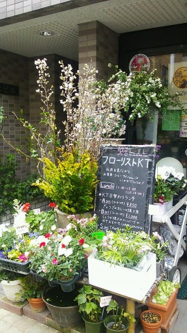 DSC_0596_12.JPG