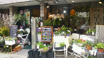 DSC_0597_8 DSC_0597_8.JPG