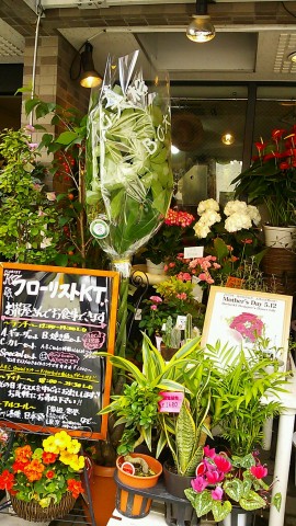 DSC_0759_3.JPG