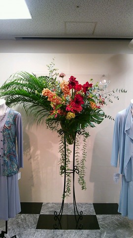 DSC_1457_5 DSC_1457_5.JPG