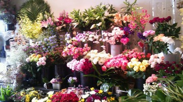 DSC_1430_11 DSC_1430_11.JPG