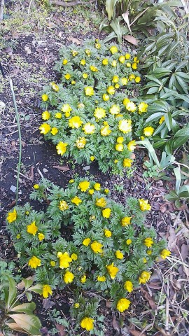 DSC_2057 DSC_2057.JPG