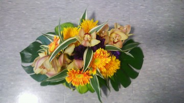 DSC_2400 DSC_2400.JPG