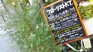 DSC_2632.JPG