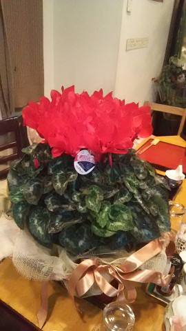 DSC_0456 DSC_0456.JPG