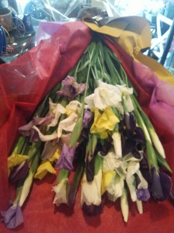 DSC_1649 DSC_1649.JPG