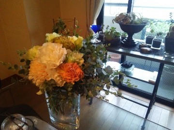 DSC_1905_7 DSC_1905_7.JPG