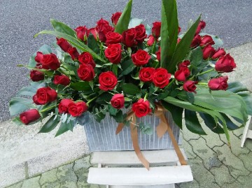 DSC_3838_2 DSC_3838_2.JPG