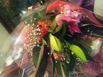 DSC_3972 DSC_3972.JPG