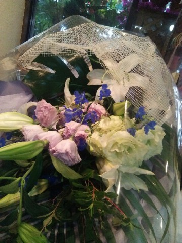 DSC_5572_7 DSC_5572_7.JPG