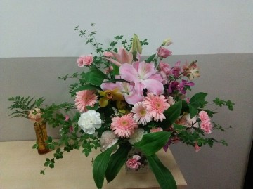 DSC_5608 DSC_5608.JPG