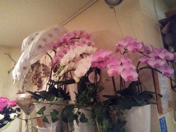 DSC_5771 DSC_5771.JPG