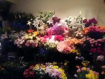 Image1489307227418_8.jpg