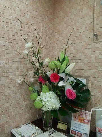 DSC_9233 DSC_9233.JPG