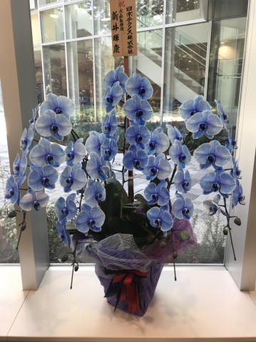 1509098090462 1509098090462.jpg