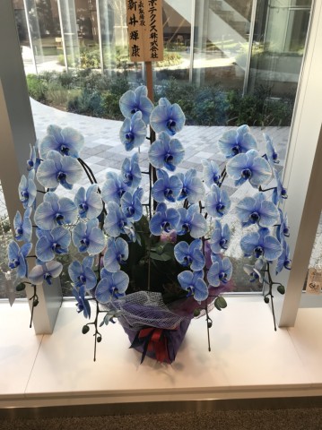 1509098196155 1509098196155.jpg