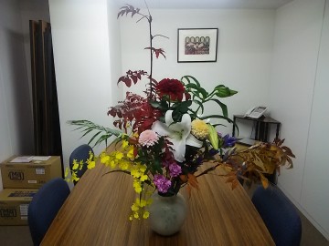 DSC_9395 DSC_9395.JPG