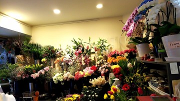 line_1518245596436_14.jpg